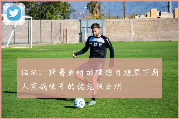 拓记：斯普利特的理想与框架下新人实战练手的优先级分析