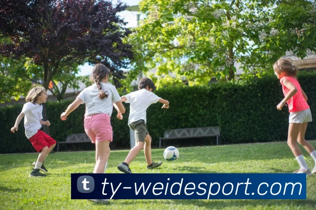 伟德体育APP 封面图